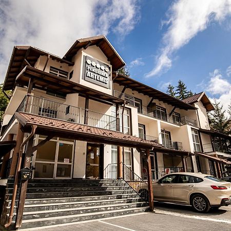 Artemis Villa Пояна-Брашов Экстерьер фото