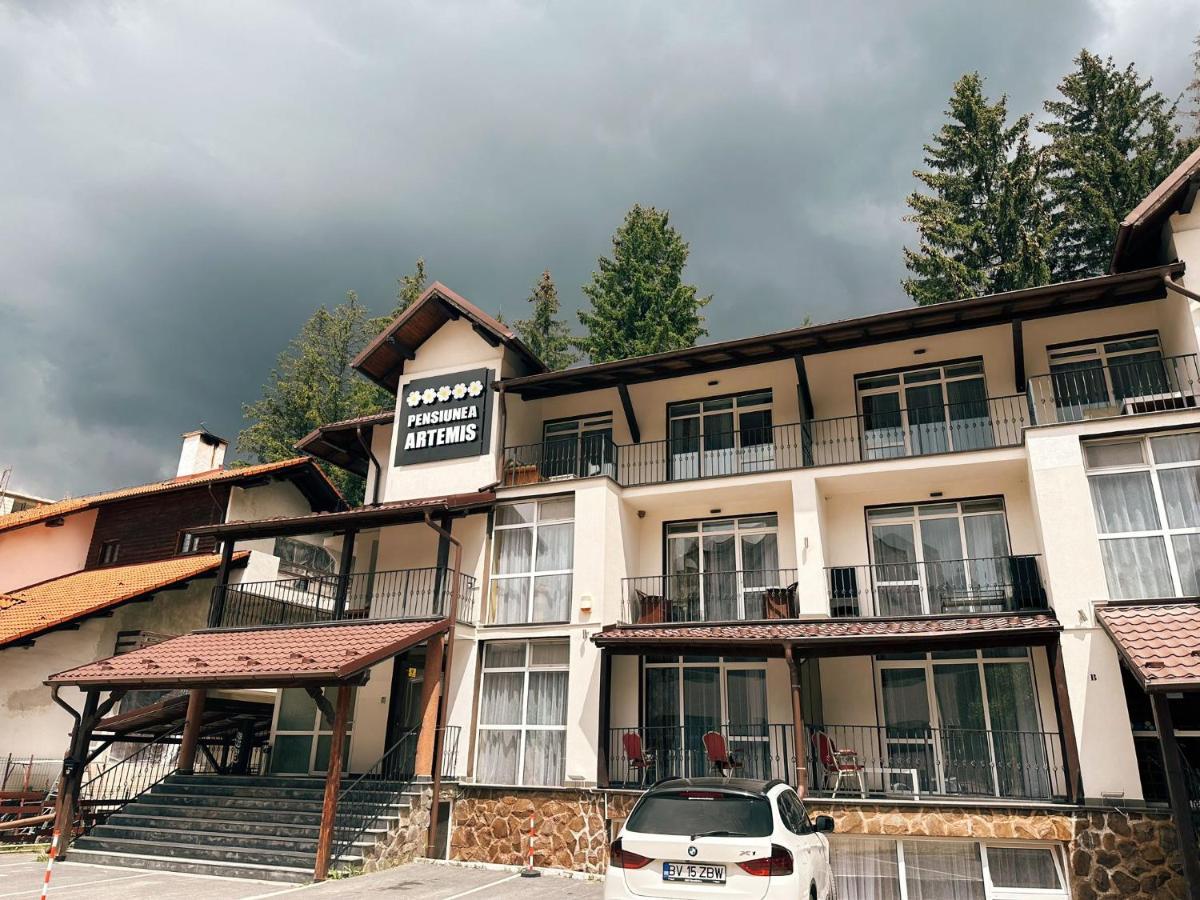 Artemis Villa Пояна-Брашов Экстерьер фото