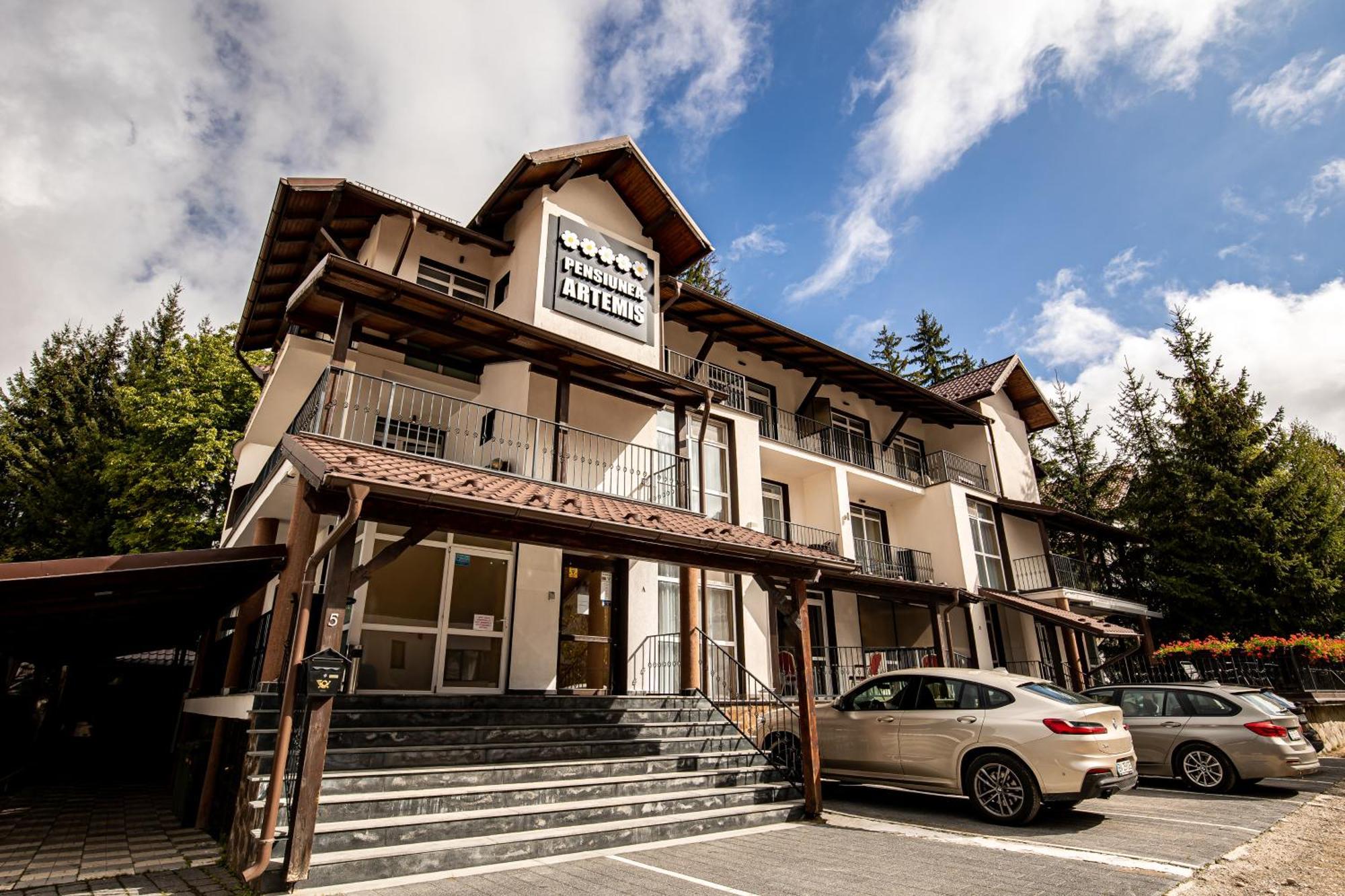 Artemis Villa Пояна-Брашов Экстерьер фото