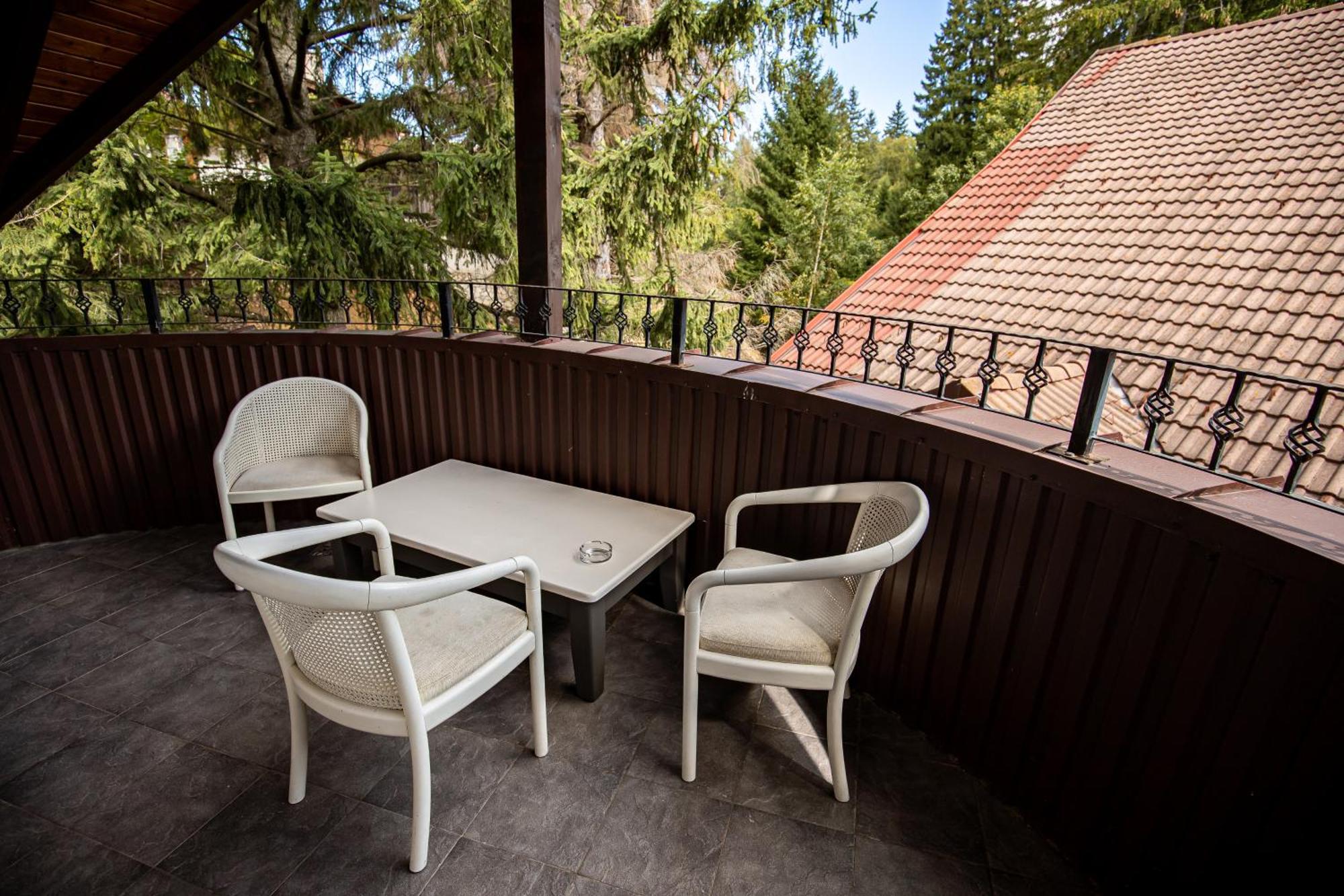 Artemis Villa Пояна-Брашов Экстерьер фото