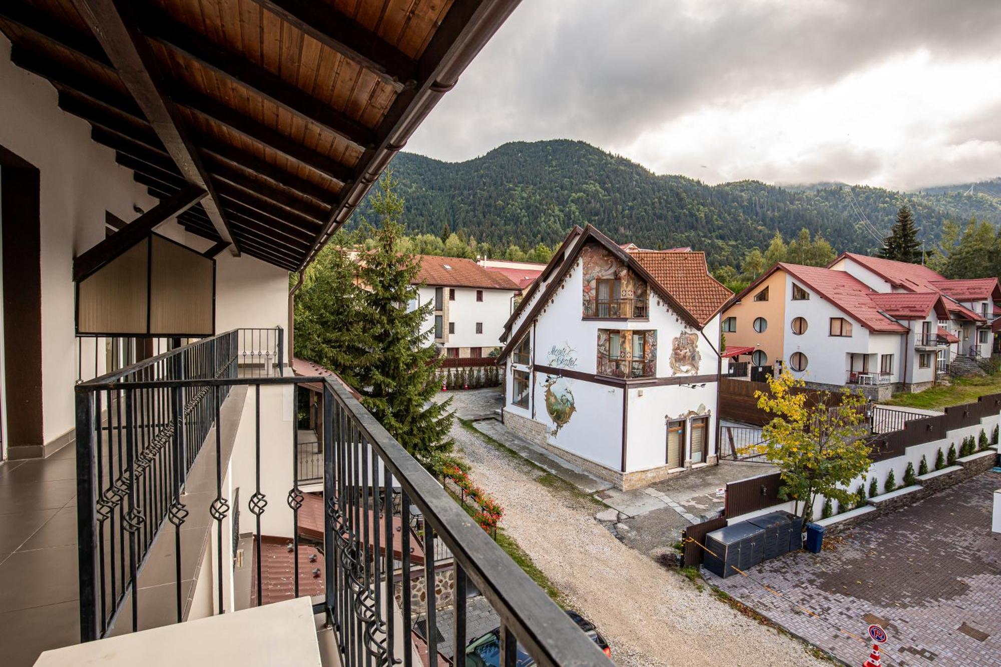 Artemis Villa Пояна-Брашов Экстерьер фото
