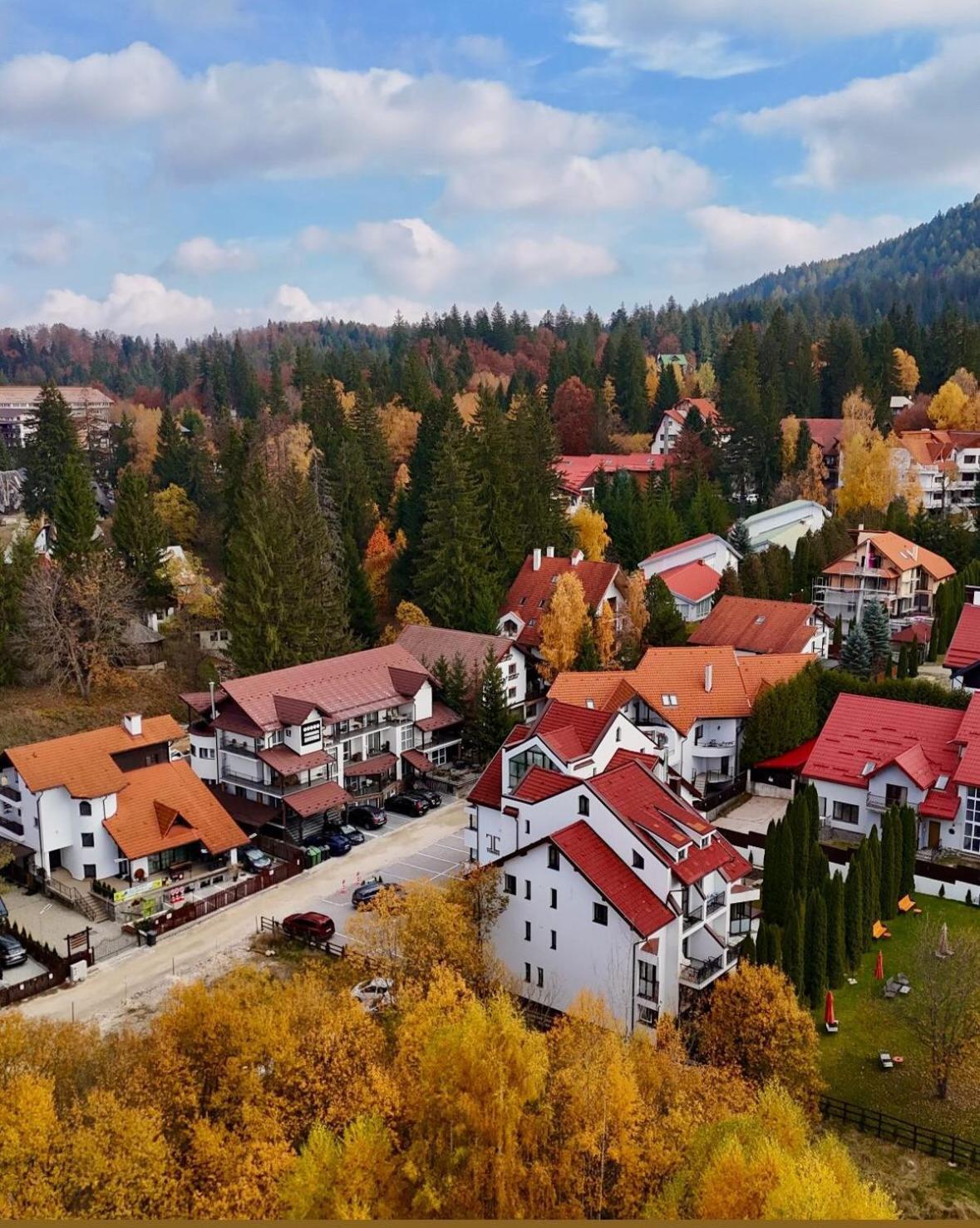 Artemis Villa Пояна-Брашов Экстерьер фото